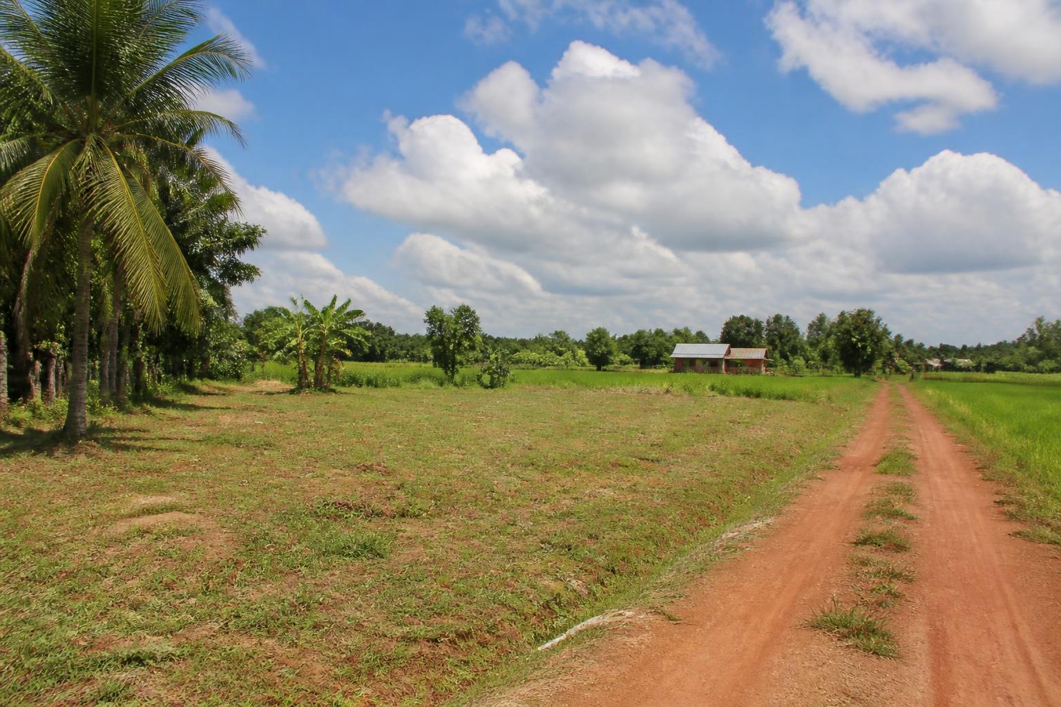Vacant land plot beside a red dirt road in rural Isan, surrounded by green rice fields